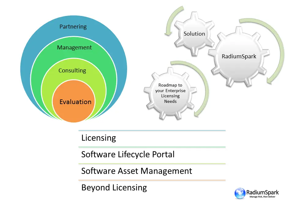 RadiumSpark Licensing Solutions service diagram and execution model.